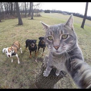 Meet your Posher, Wendy